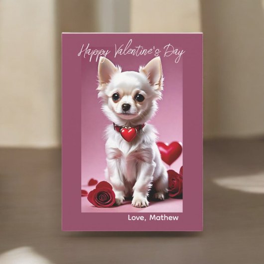 Carte Cupidon Chihuahua