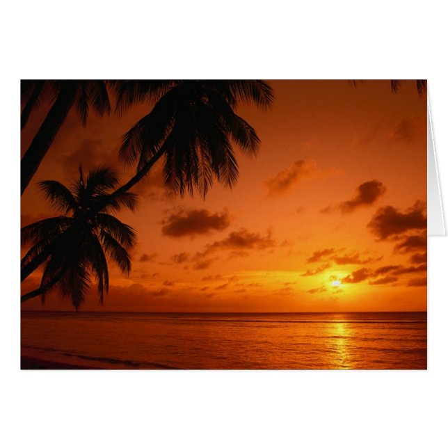 Carte curative de coucher du soleil (Devant horizontal)