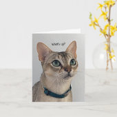 Carte Curieux Chat blanc (Fleur jaune)