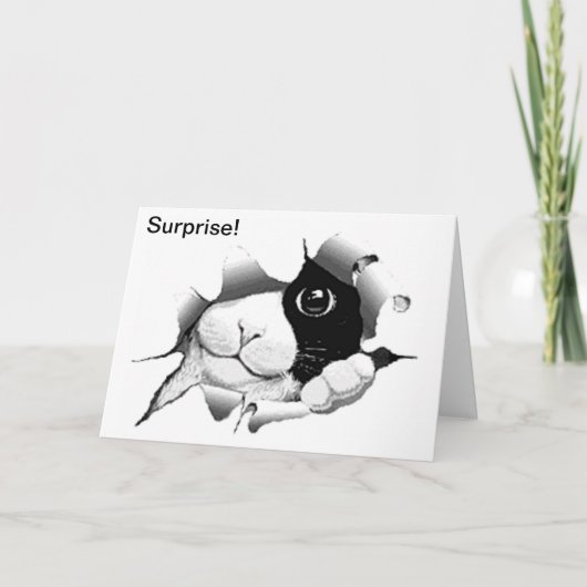 Carte Curieux chat noir et blanc Anniversaire Surprise (Devant)