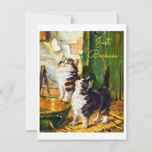 Carte Curieux Chatons Vintage Papillon Art Juste Parce Q