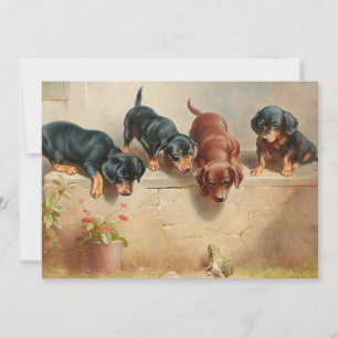 Carte Curieux Chiots Dachshund Carl Reichert