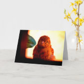 Carte Curieux Finch (Fleur jaune)