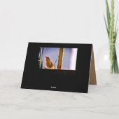 Carte Curieux Finch (Dos)