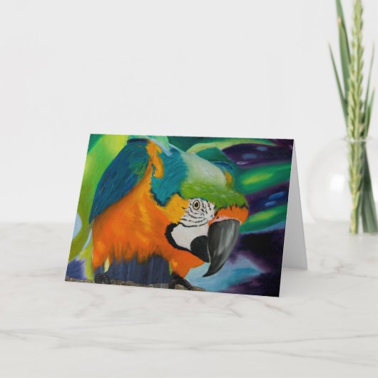 Carte Curieux Macaw (Devant)