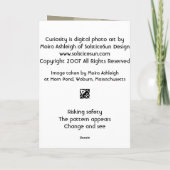 Carte Curiosité (Dos)