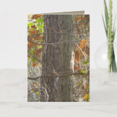 Carte Curiosité (Devant)