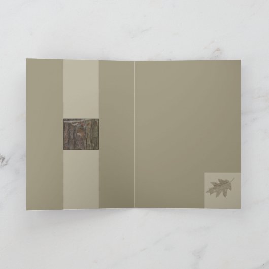 Carte Curiosité (Intérieur)