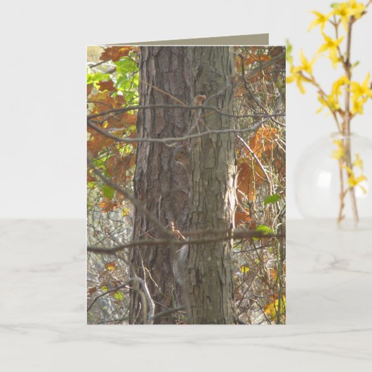 Carte Curiosité (Fleur jaune)