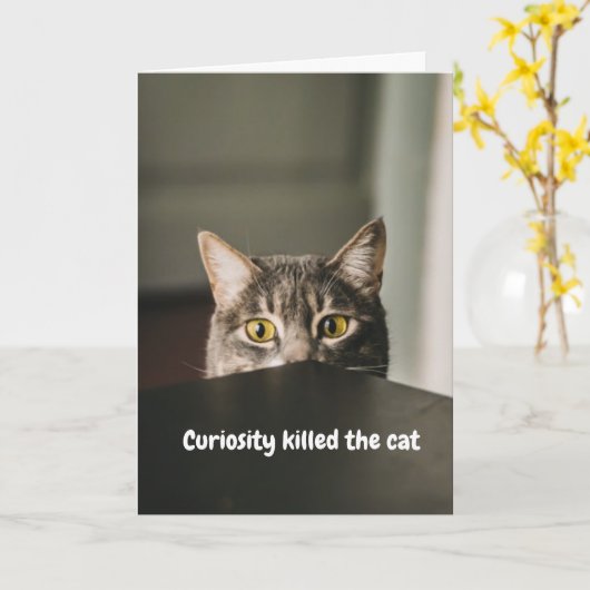 Carte Curiosité Tua Le Chat (Fleur jaune)