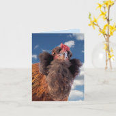 Carte Curious Bearded Chicken Head Close-Up  (Fleur jaune)