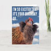 Carte Curious Chicken Head Close-Up Photograph (Devant)