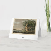 Carte Curlew from Audubon's Birds of America (Dos)