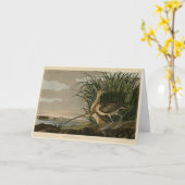Carte Curlew from Audubon's Birds of America (Fleur jaune)