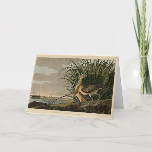 Carte Curlew from Audubon's Birds of America (Devant)