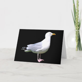 Carte Customisable Seagull Standing Greetings Card