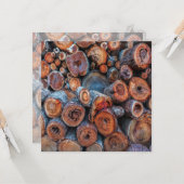 Carte Cut Tree Logs Stacked Together Pattern Photograph (Devant/Arrière en situation)