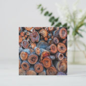 Carte Cut Tree Logs Stacked Together Pattern Photograph (Debout devant)