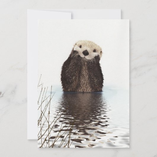 Carte Cute Adorable Fluffy Otter Animal (Devant)