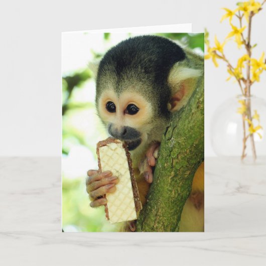 Carte Cute Baby Squerrl Monkey Eating a Wafer Biscuit (Fleur jaune)