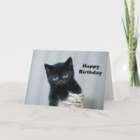 Cute Black Kitten Twin Photo Anniversaire