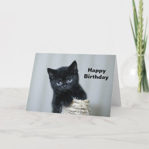 Carte Cute Black Kitten Twin Photo Anniversaire