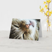 Carte Cute Cat Bonjour Comment êtes-vous amusant Salutat (Fleur jaune)