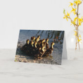 Carte Cute Chicks (Fleur jaune)