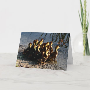 Carte Cute Chicks
