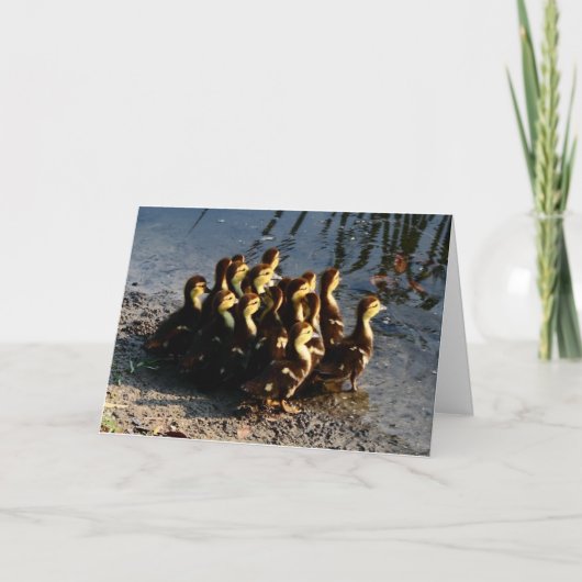 Carte Cute Chicks (Devant)