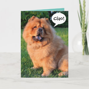 Carte Cute Chow Chow Dit "Ciao !"Carte de voeux