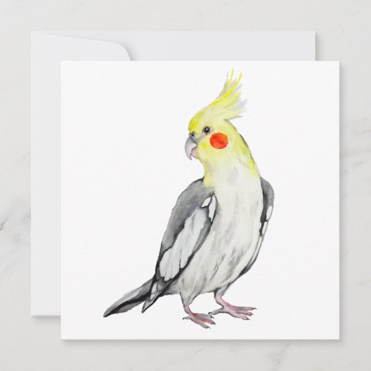 Carte Cute Cockatiel Aquarelle Parrot. (Devant)