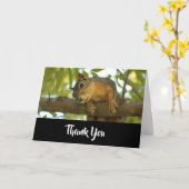 Carte Cute Curious écureuil Nature Photographie Merci (Fleur jaune)
