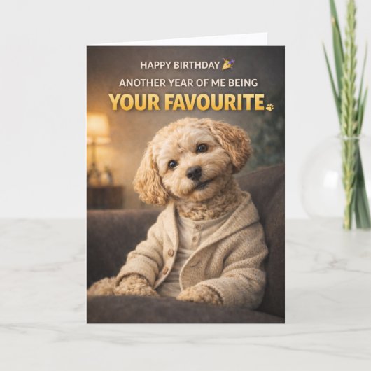 Carte Cute Dog Birthday Card Your Favourite Cockapoo (Devant)