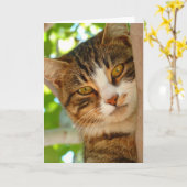 Carte Cute Escalade de chat un arbre (Fleur jaune)