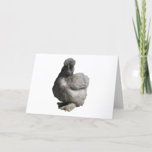 Carte Cute Fluffy Blue Silkie Poulet