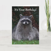 Carte Cute Forest Raccoon Photo Amusant Anniversaire (Devant)