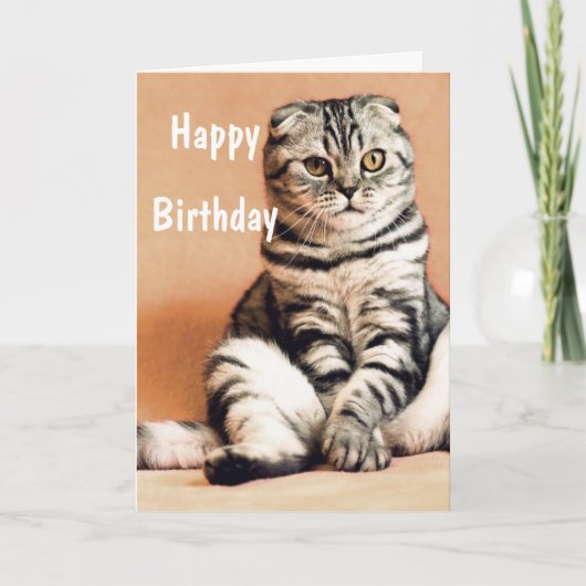 Carte Cute Funny Chat Joyeux Anniversaire (Devant)