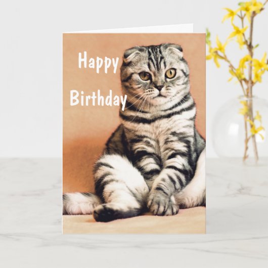 Carte Cute Funny Chat Joyeux Anniversaire (Fleur jaune)