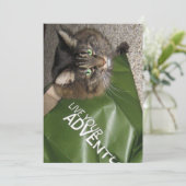 Carte Cute Funny Maine Coon Kitty Chat L'Aventurier (Debout devant)