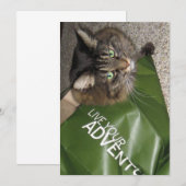 Carte Cute Funny Maine Coon Kitty Chat L'Aventurier (Devant / Derrière)