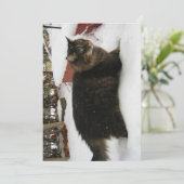 Carte Cute Funny Maine Coon Kitty Chat Orteils froids (Debout devant)
