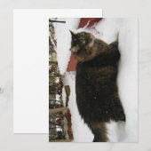 Carte Cute Funny Maine Coon Kitty Chat Orteils froids (Devant / Derrière)
