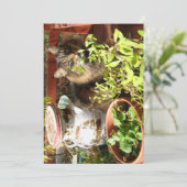 Carte Cute Funny Maine Coon Kitty Rustique (Debout devant)