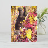 Carte Cute Funny Maine Coon L'Inspection De La Feuille (Debout devant)