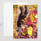 Carte Cute Funny Maine Coon L'Inspection De La Feuille (Devant / Derrière)