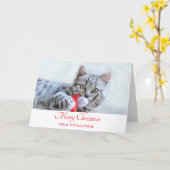 Carte Cute Grey Tabby Chat Noël Casquette Noël Noël Noël (Fleur jaune)