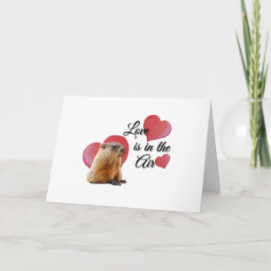 Carte Cute Guinée Coeurs d'amour de porc Saint Valentin
