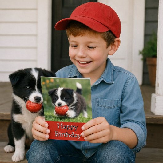 Carte Cute Happy Birthday Border Collie Greeting Card