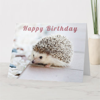 Carte Cute Hedgehog - Joyeux anniversaire